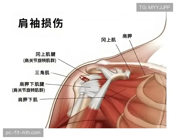 合法冲撞判定规则:肩部对抗的三大关键 合法冲撞判定规则:肩部对抗的三大关键